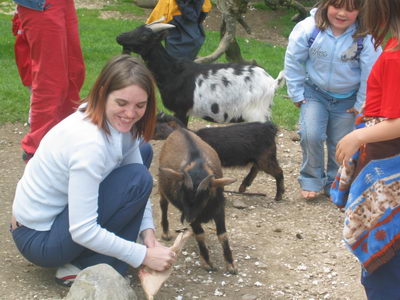 Die diebische Ziege auf Angriffstour.jpg